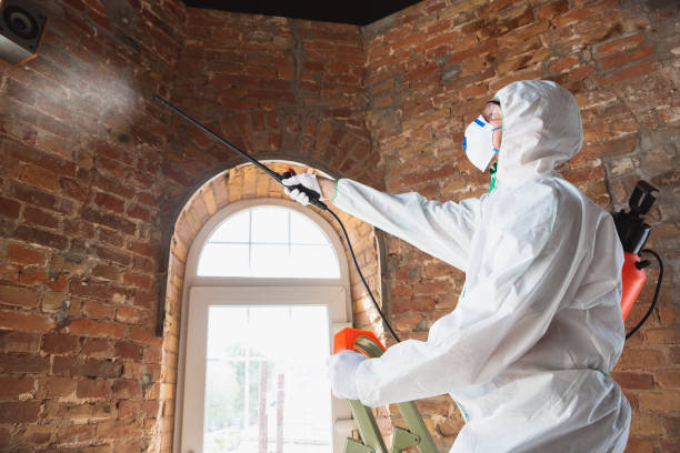 Mold Remediation for Rental Properties