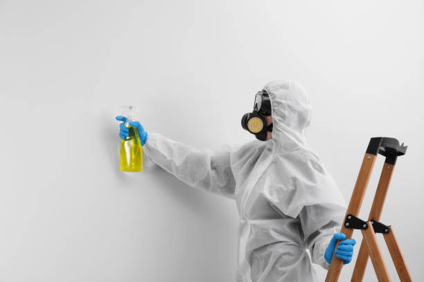 Asbestos and Lead Testing During Mold Inspection in Collierville, CA